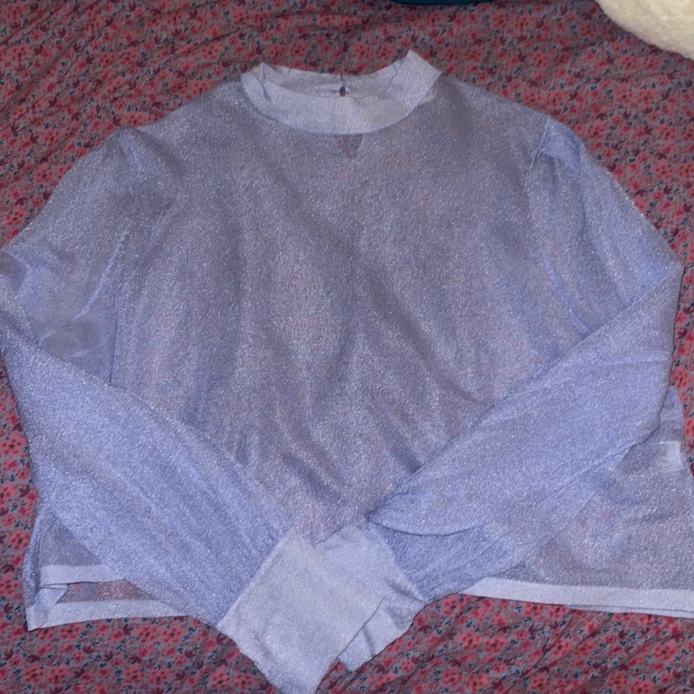Zara Periwinkle Sparkly Sheer Top